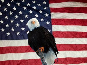 Patriotism, America the Great