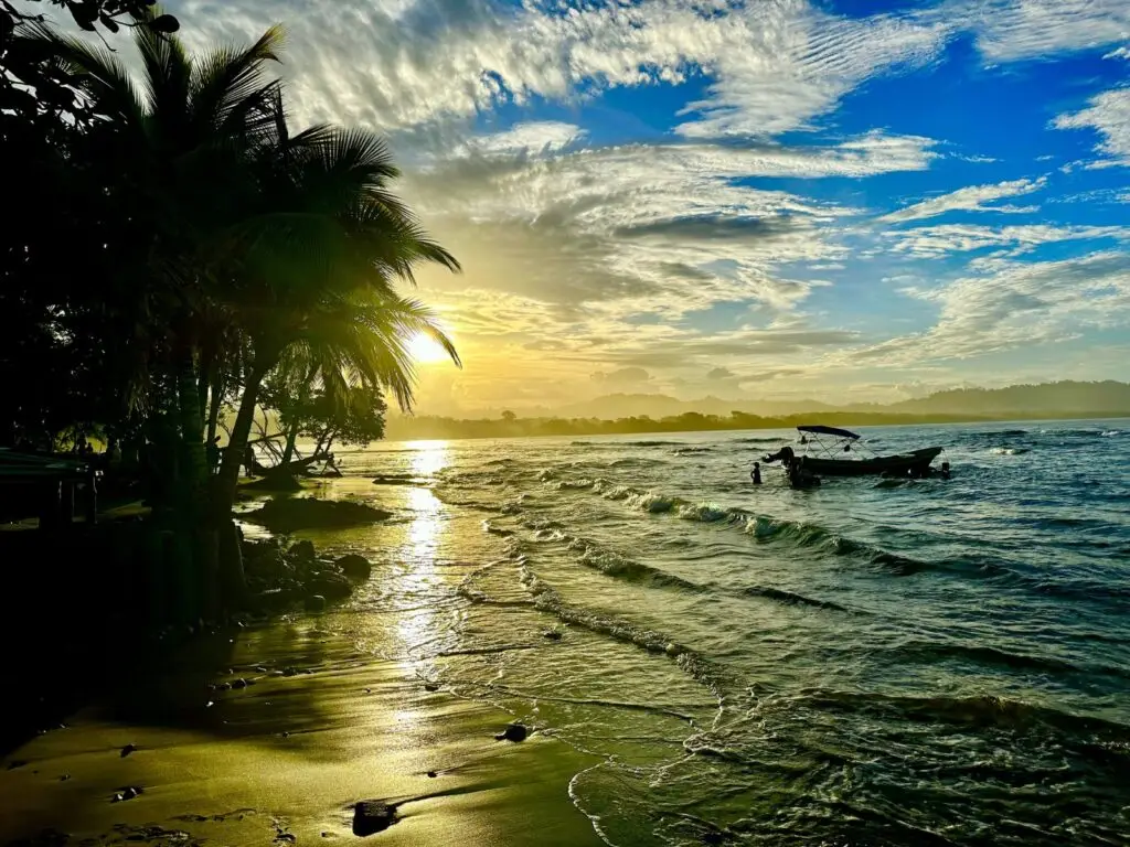 Palm-lined beach at sunset, Costa Rica